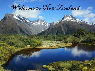 Welcome to New Zealand