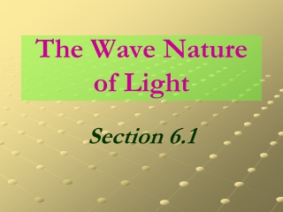 The Wave Nature of Light