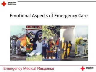 Emotional Aspects of Emergency Care