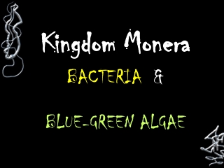 Kingdom Monera BACTERIA &amp; BLUE-GREEN ALGAE