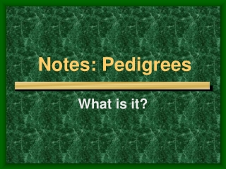 Notes: Pedigrees