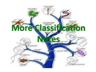 More Classification Notes