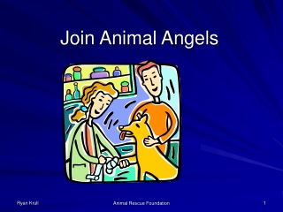 Join Animal Angels