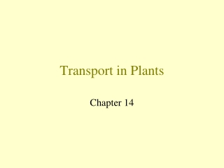 Transport in Plants