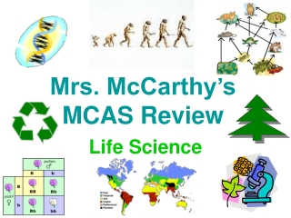 Mrs. McCarthy’s MCAS Review