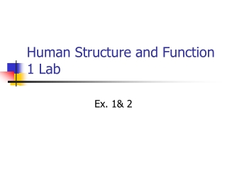 Human Structure and Function 1 Lab