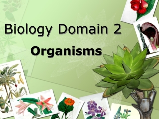 Biology Domain 2