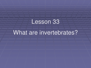 Lesson 33 What are invertebrates?