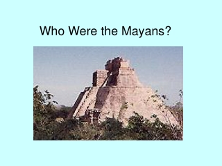 Who Were the Mayans?
