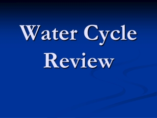 Water Cycle Review