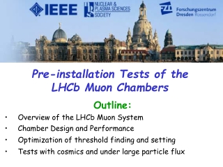 Pre-installation Tests of the LHCb Muon Chambers