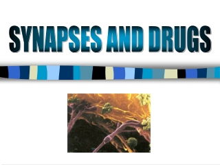 SYNAPSES AND DRUGS