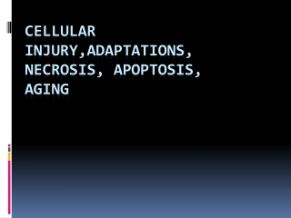Cellular Injury,Adaptations , Necrosis, Apoptosis, Aging