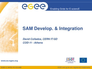 SAM Develop. &amp; Integration