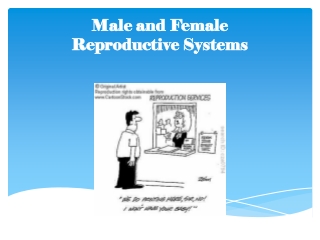 Male and Female Reproductive Systems