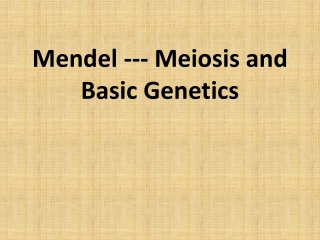 Mendel --- Meiosis and Basic Genetics