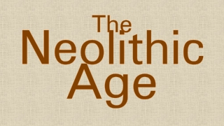 The Neolithic Age