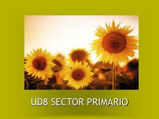 UD8 SECTOR PRIMARIO