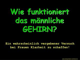 Wie funktioniert das männliche GEHIRN?