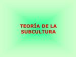 TEOR A DE LA SUBCULTURA