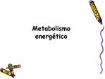 Metabolismo energ tico