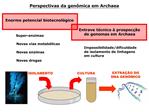 Perspectivas da gen mica em Archaea