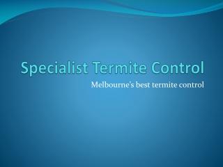 Specialist Termite Control - physical barriers