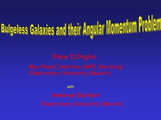 Bulgeless Galaxies and their Angular Momentum Problem