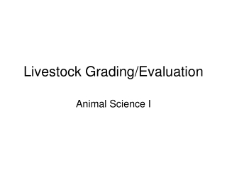 Livestock Grading/Evaluation