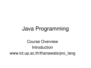 Java Programming