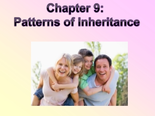 Chapter 9: Patterns of Inheritance