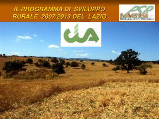 IL PROGRAMMA DI SVILUPPO RURALE 2007/2013 DEL LAZIO