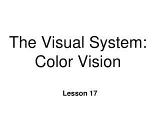 The Visual System: Color Vision