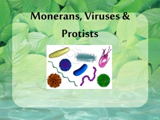 Monerans, Viruses &amp; Protists