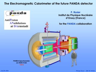 The Electromagnetic Calorimeter of the future PANDA detector