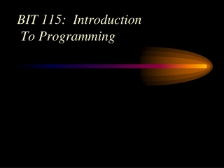 BIT 115: Introduction To Programming