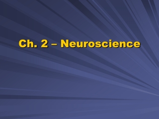 Ch. 2 – Neuroscience