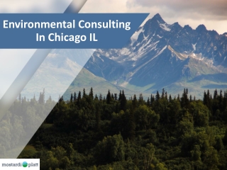 Environmental Consulting In Chicago IL