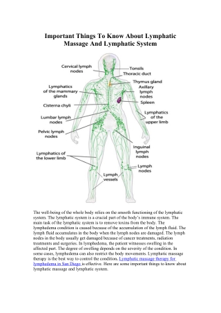 Important Things To Know About Lymphatic Massage And Lymphatic System