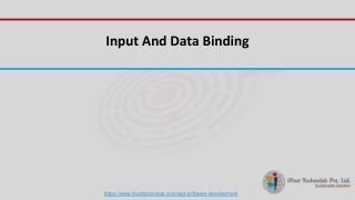 Input And Data Binding in WPF Development