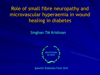 Role of small fibre neuropathy and microvascular hyperaemia in wound healing in diabetes