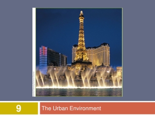 The Urban Environment