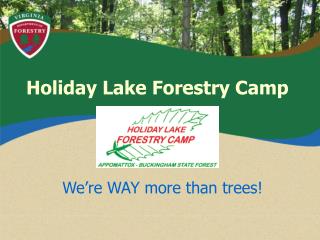 Holiday Lake Forestry Camp