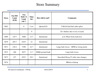Store Summary