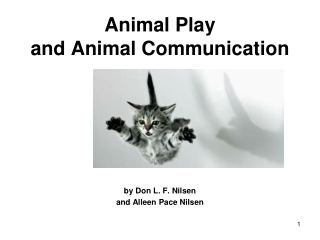 Animal Play and Animal Communication