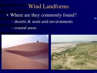 Wind Landforms