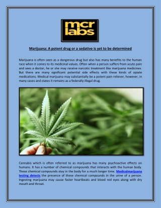 Marijuana: A potent drug or a sedative is yet to be determined