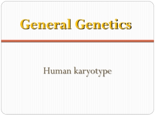 Human karyotype