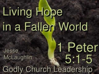 Living Hope in a Fallen World