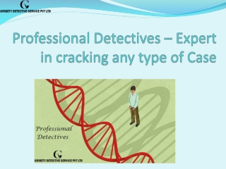 Professional Detectives Expert in cracking any type of Case